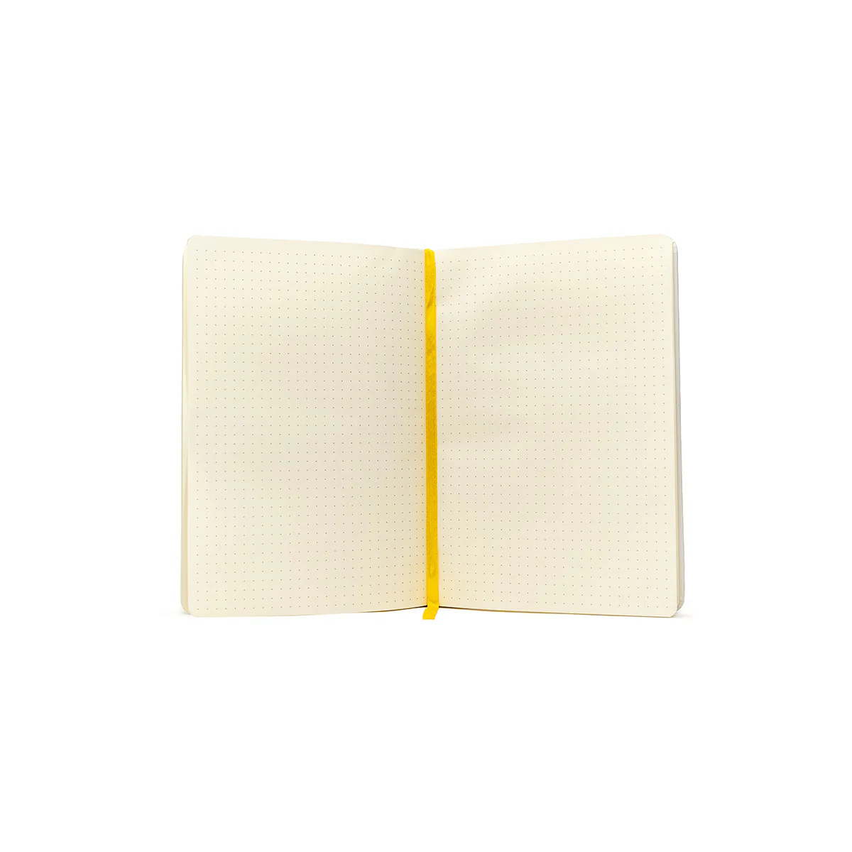 Exandria Unlimited Journal - Image 3